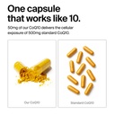 the-absorption-company-coq10-60-capsules-5.jpg