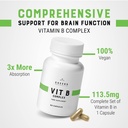 cheers-vitamin-b-complex-supplement-113--2.jpg