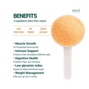 seed-lucuma-protein-shake-clean-plant-pr-5.jpg