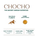 seed-chocho-cacao-plant-based-protein-po-4.jpg