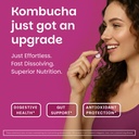 ez-melts-dissolvable-sugar-free-kombucha-3.jpg