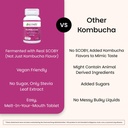 ez-melts-dissolvable-sugar-free-kombucha-5.jpg