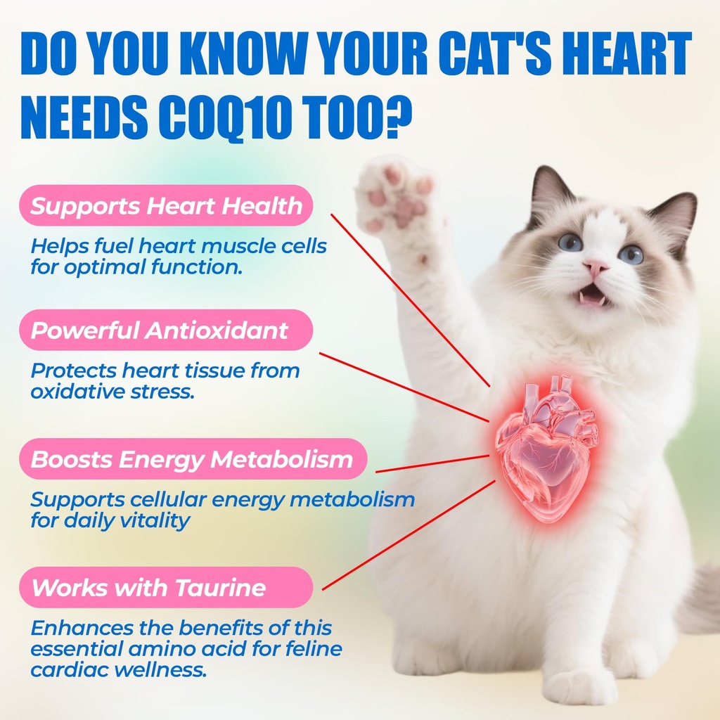 just-try-coenzyme-q10-coq10-bites-for-ca-3.jpg