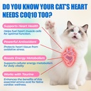 just-try-coenzyme-q10-coq10-bites-for-ca-3.jpg