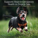 rx-vitamins-coq1030-coenzyme-q10-for-dog-2.jpg