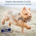 rx-vitamins-coq1030-coenzyme-q10-for-dog-6.jpg