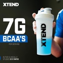 scivation-xtend-sport-bcaa-powder-blue-r-4.jpg