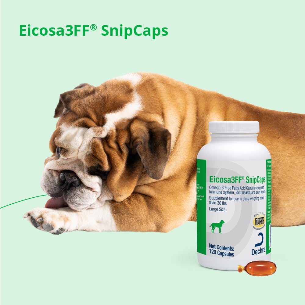 eicosa3ff-snipcaps-omega-3-free-fatty-ac-6.jpg