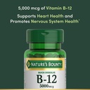 nature-s-bounty-vitamin-b12-supports-ene-5.jpg