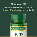 nature-s-bounty-vitamin-b12-supports-ene-4.jpg