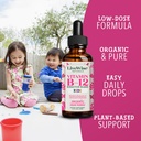 live-wise-naturals-organic-vitamin-b12-l-4.jpg