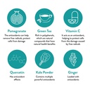 vidapura-keto-green-protein-shake-by-dr--6.jpg