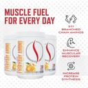 purus-labs-everyday-amino-bcaa-powder-am-4.jpg