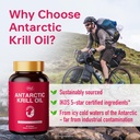 huj-antarctic-krill-oil-1000mg-with-omeg-4.jpg