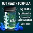 z2g-icy-blue-raspberry-rush-bcaa-powder--5.jpg