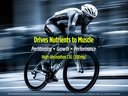 biotest-indigo-3g-turns-carbs-into-fuel--4.jpg