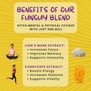 odd-balls-organic-energy-balls-lemon-mus-3.jpg