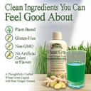 garden-greens-wheat-grass-liquid-with-re-6.jpg
