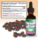 nature-s-answer-saw-palmetto-extract-pro-4.jpg