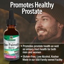nature-s-answer-saw-palmetto-extract-pro-3.jpg