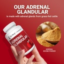 dr-berg-adrenal-glandular-hormone-balanc-6.jpg