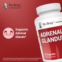 dr-berg-adrenal-glandular-hormone-balanc-2.jpg