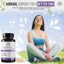 better-place-supplements-adrenal-health--5.jpg