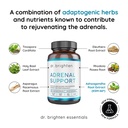 dr-brighten-adrenal-support-dietary-supp-6.jpg