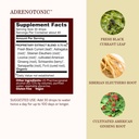 herbs-etc-adrenotonic-classic-liquid-ext-3.jpg