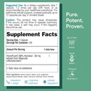 econugenics-brain-health-supplement-bund-5.jpg