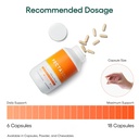 econugenics-brain-health-supplement-bund-6.jpg