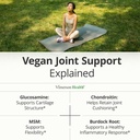 vegan-glucosamine-chondroitin-msm-joint--4.jpg