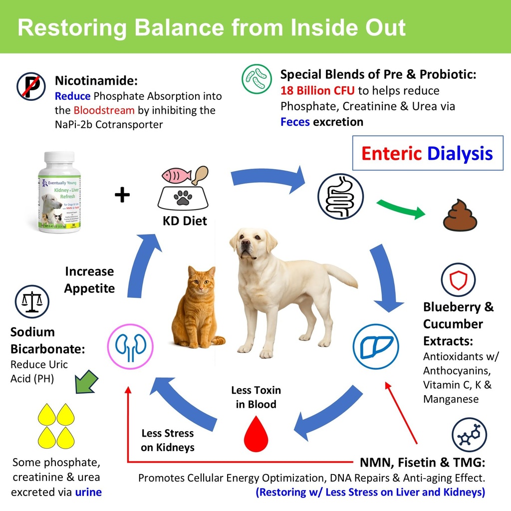 cat-kidney-support-for-dog-cat-with-nmn--4.jpg