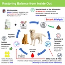 cat-kidney-support-for-dog-cat-with-nmn--4.jpg