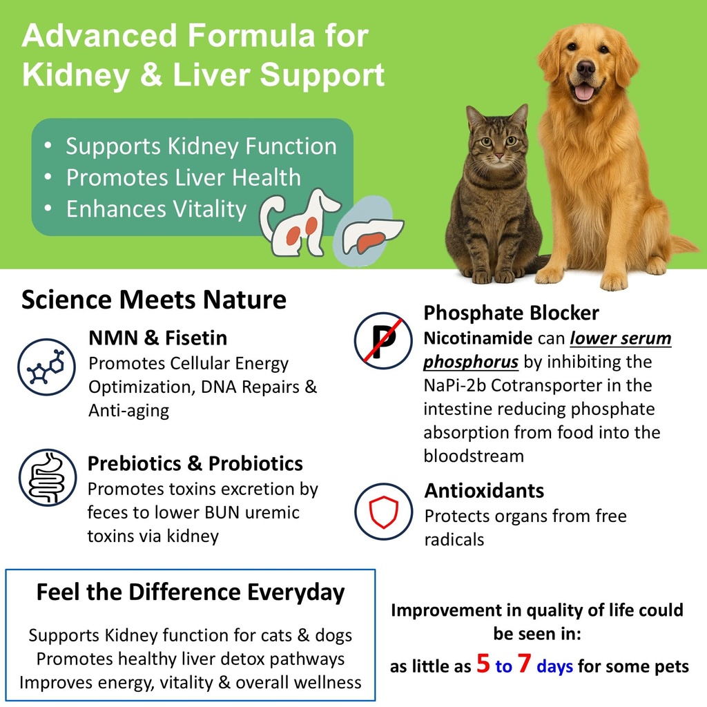 cat-kidney-support-for-dog-cat-with-nmn--3.jpg