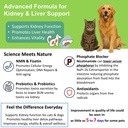 cat-kidney-support-for-dog-cat-with-nmn--3.jpg