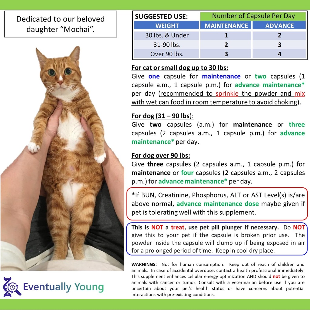 cat-kidney-support-for-dog-cat-with-nmn--6.jpg