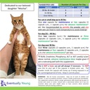 cat-kidney-support-for-dog-cat-with-nmn--6.jpg