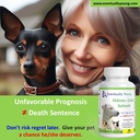 cat-kidney-support-for-dog-cat-with-nmn--2.jpg