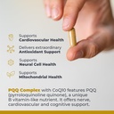 premier-research-labs-premier-pqq-comple-4.jpg