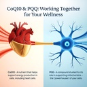 simple-promise-cardioclear7-coq10-with-p-5.jpg
