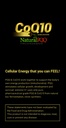 coq10-qq-coq10-with-natural-pqq-vegetari-4.jpg