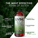 living-silica-orgono-plant-based-collage-5.jpg