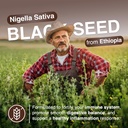 resilia-ethiopian-black-seed-softgels-10-2.jpg