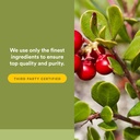 natural-factors-herbalfactors-urinary-fl-5.jpg