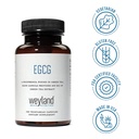 egcg-green-tea-extract-high-antioxidant--6.jpg