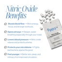 fygg-nox-functional-mints-nitric-oxide-i-5.jpg