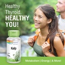 solaray-kelp-550-mg-with-folic-acid-for--4.jpg