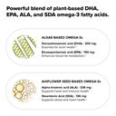 complement-vegan-omega-3-supplement-960m-4.jpg