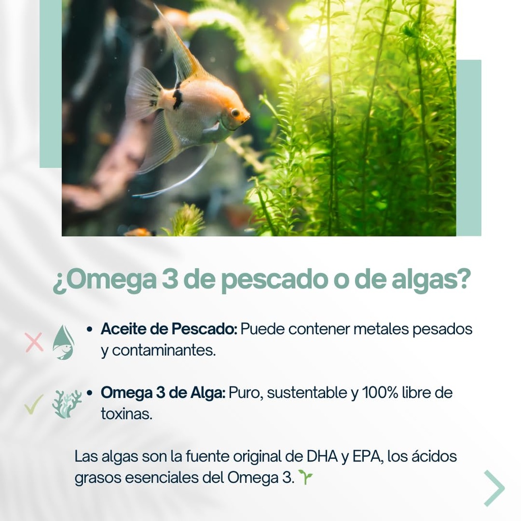 algae-omega-3-120-soft-gels-560-mg-omega-3.jpg